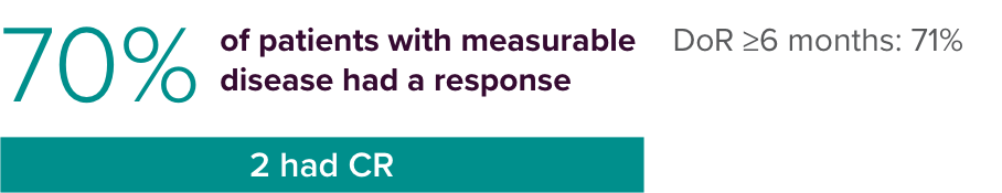 70% of patients with measurable disease had a response