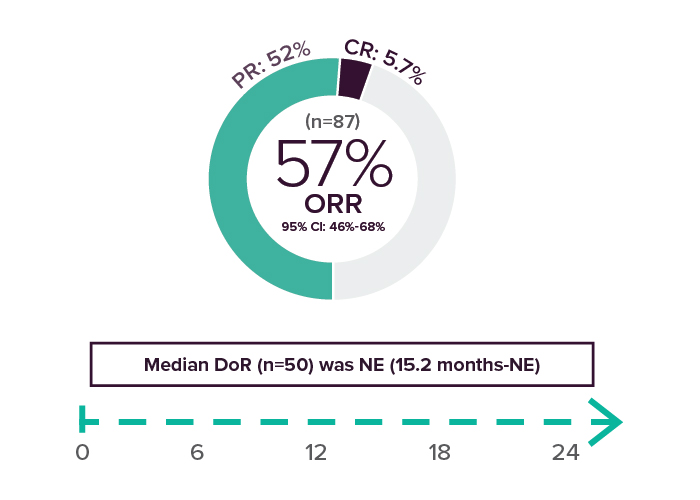 Efficacy results with GAVRETO
