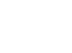 Rigel Logo