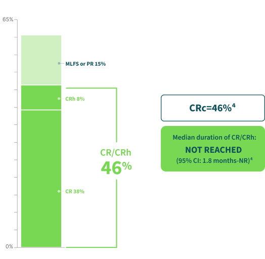 Prior Intensive Chemotherapy chart
