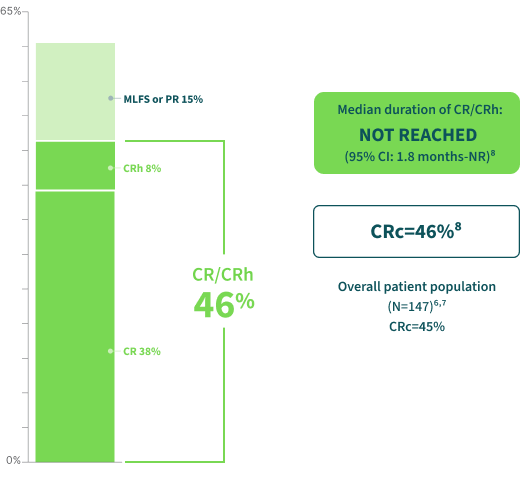 Clinical Response Rates (n=13) chart