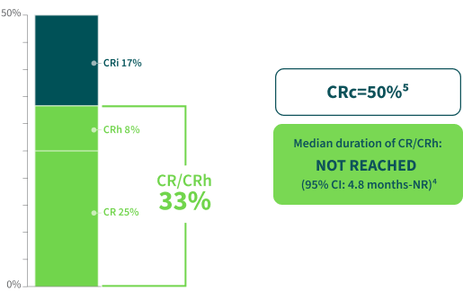 Prior Venetoclax-based Regimen chart