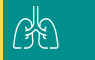 Lung icon