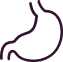 Stomach icon