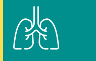 Lung icon