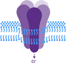 GABAA receptor