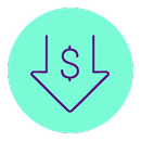 Low copay icon