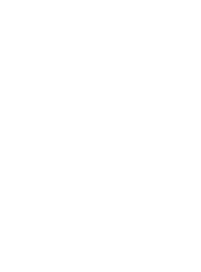 Sun Pharmaceuticals Inc. logo