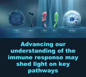 Advancing our understanding of the immune response may shed light on key pathways