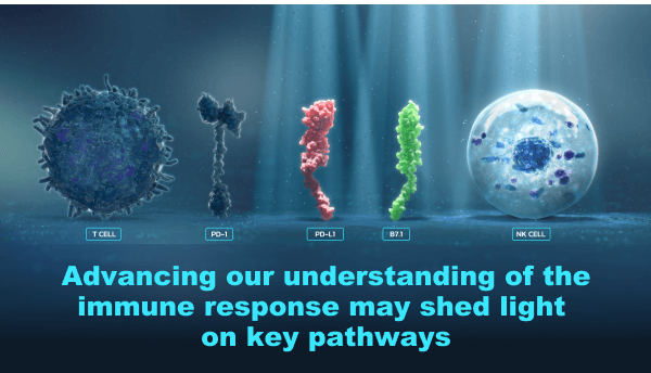Advancing our understanding of the immune response may shed light on key pathways