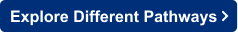 Explore Different Pathways Button