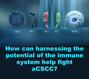 How can harnessing the potential of the immune system help fight aCSCC?
