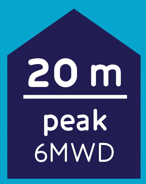 20 m peak 6MWD