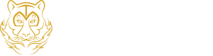 Tiger Aesthetics™ logo